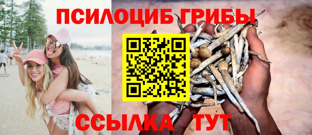 Галлюциногенные грибы GOLDEN TEACHER  Вход с VPN  Губкин  Псилоцибиновые грибы Cubensis 
