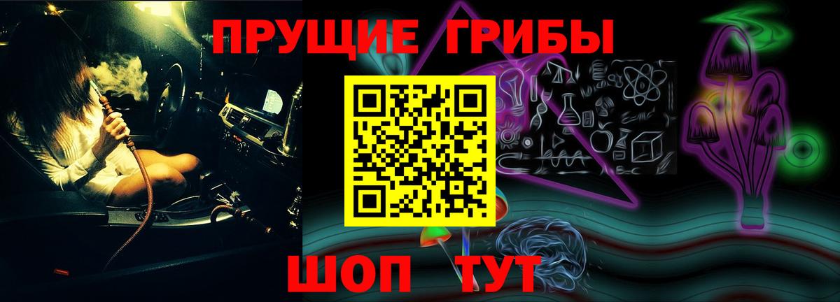 Псилоцибиновые грибы Psilocybine cubensis Губкин
