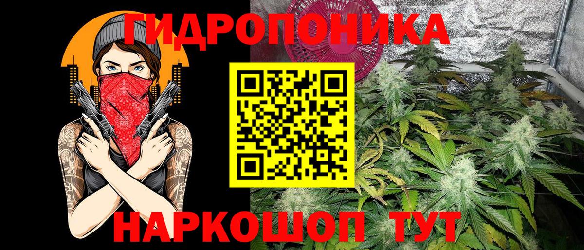 Конопля марихуана  Шишки марихуана семена  Губкин  Бошки Шишки AK-47  Вход с VPN 